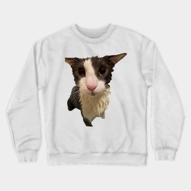 Soggy Cat Crewneck Sweatshirt by Trendy-Now